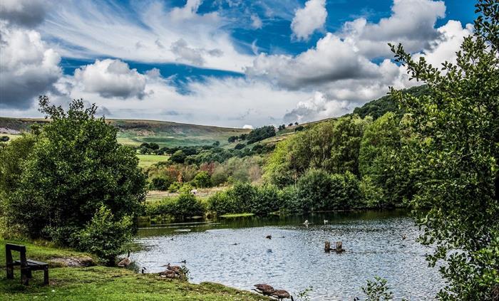 Beautiful Lake